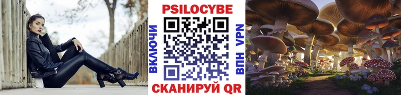 хочу наркоту  мега   Галлюциногенные грибы Psilocybine cubensis  Белая Калитва 